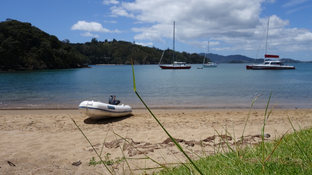 Segeltörn auf der roten Phantom in der Bay of Islands