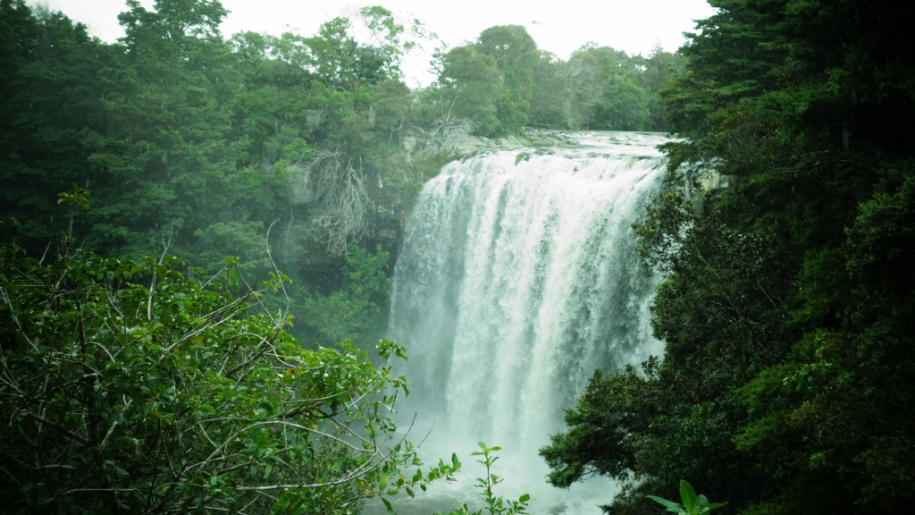 Rainbow Falls bei Kerikeri