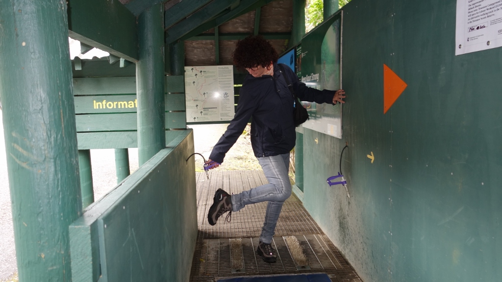 Schuhdesinfektion vor dem Parkbesuch