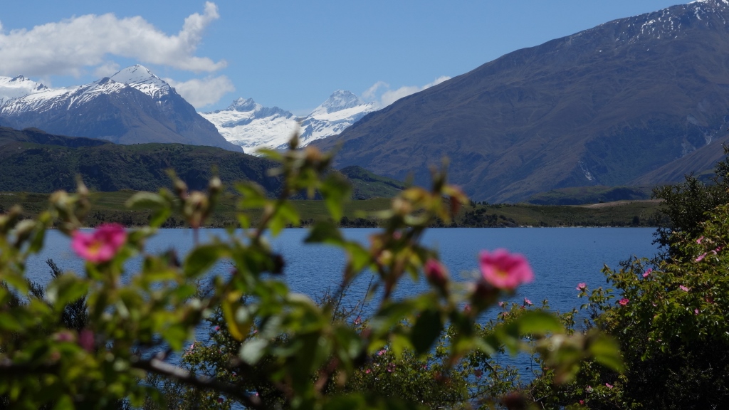 am Lake Wanaka